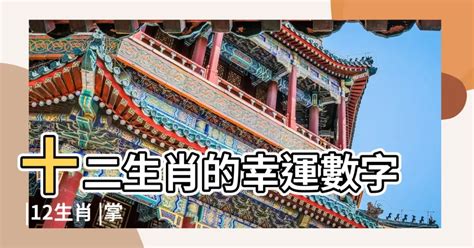 屬兔的幸運數字|12生肖最強開運秘訣 幸運數字、顏色與方位都要筆記。